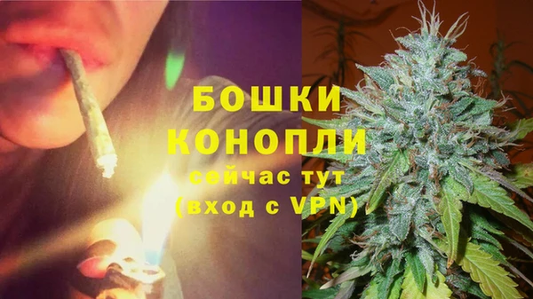 прущие грибы Пролетарск