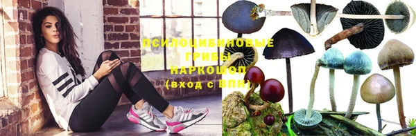 прущие грибы Пролетарск