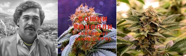 бошки Протвино