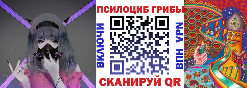 Галлюциногенные грибы Psilocybine cubensis  Белорецк 