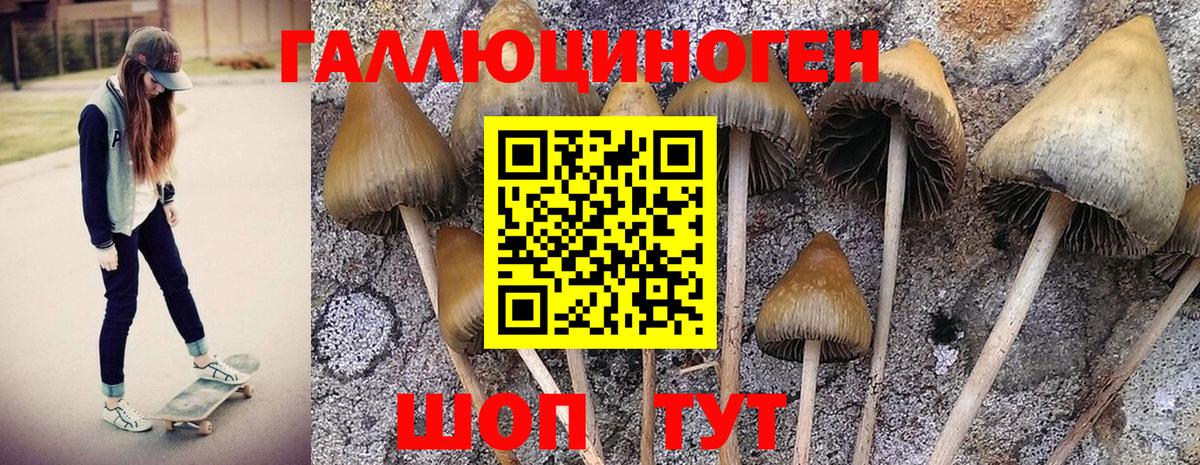 дарнет шоп  Вход с VPN  Галлюциногенные грибы Magic Shrooms  Белорецк  Псилоцибиновые грибы мицелий 